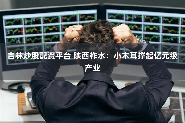 吉林炒股配资平台 陕西柞水：小木耳撑起亿元级产业