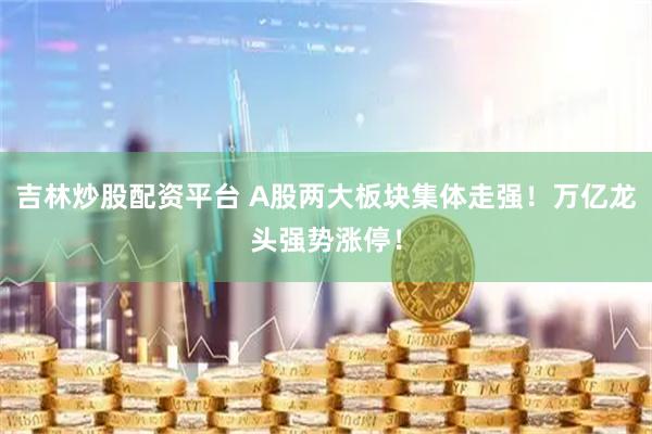 吉林炒股配资平台 A股两大板块集体走强！万亿龙头强势涨停！