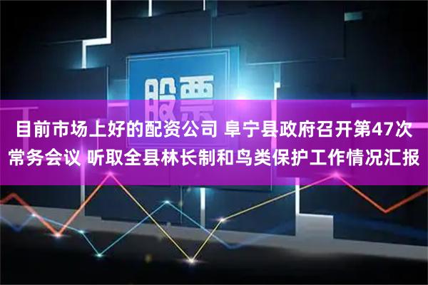 目前市场上好的配资公司 阜宁县政府召开第47次常务会议 听取全县林长制和鸟类保护工作情况汇报