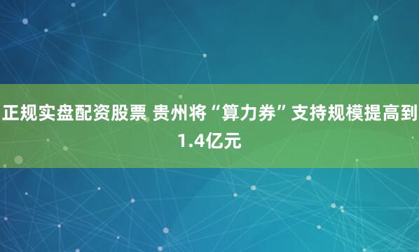 正规实盘配资股票 贵州将“算力券”支持规模提高到1.4亿元