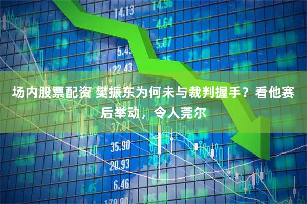 场内股票配资 樊振东为何未与裁判握手？看他赛后举动，令人莞尔