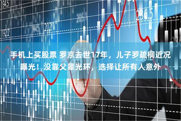 手机上买股票 罗京去世17年，儿子罗疏桐近况曝光！没靠父辈光环，选择让所有人意外